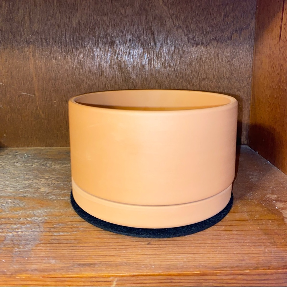 6" Terracotta Pot